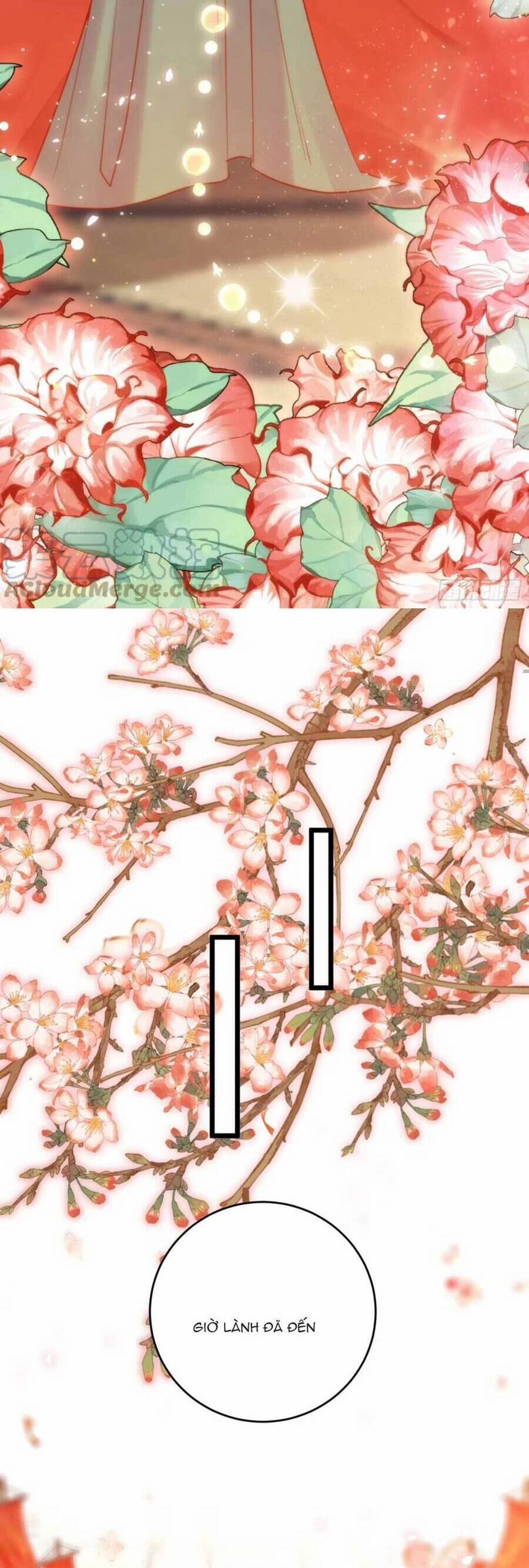 Nghịch Đồ Mỗi Ngày Đều Muốn Bắt Nạt Sư Phụ 59 trang 30