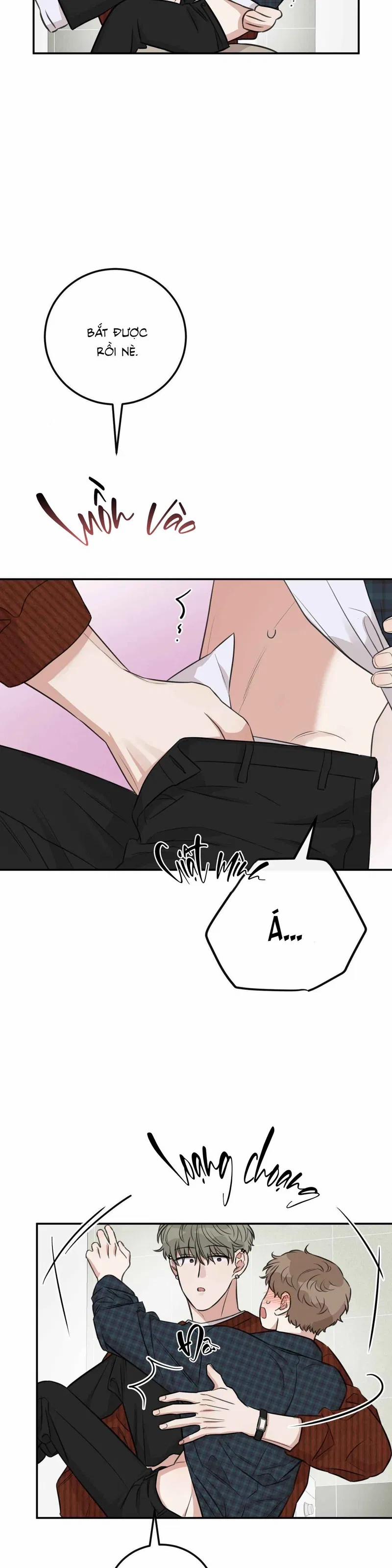 Nghịch Lý Bánh Sandwich 7 trang 5