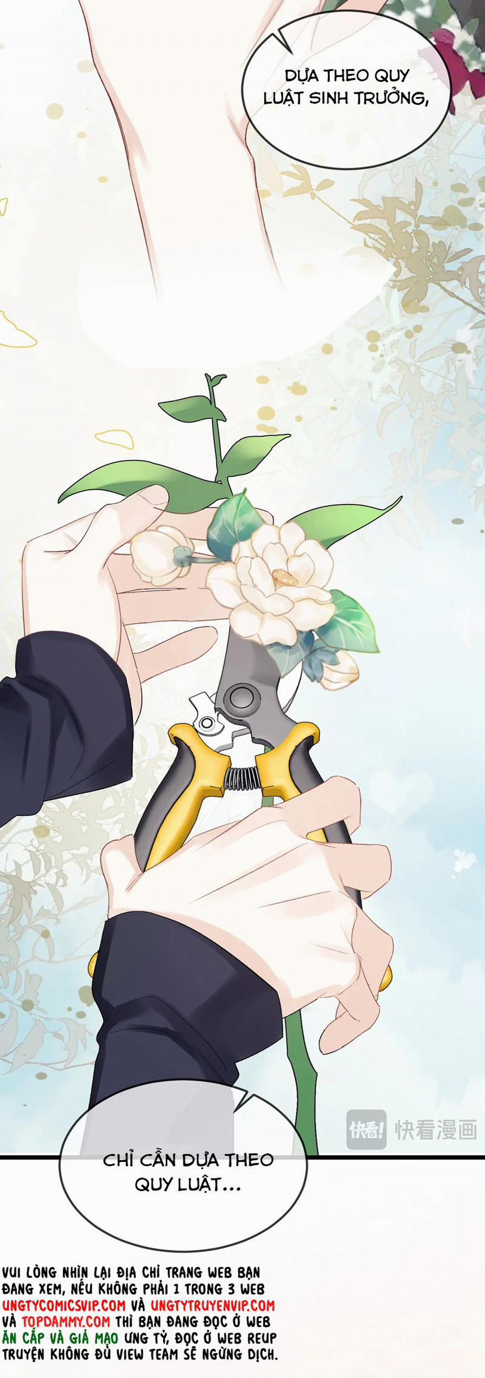 Nghịch Lý Câu Fan 23 trang 19