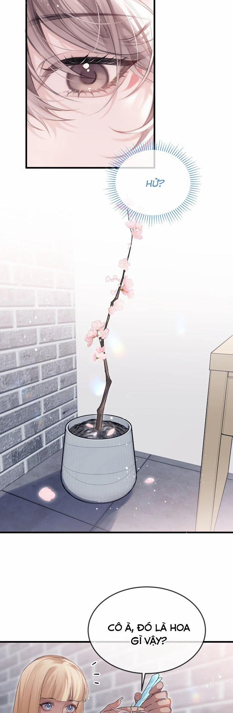 Nghịch Lý Câu Fan 34 trang 8