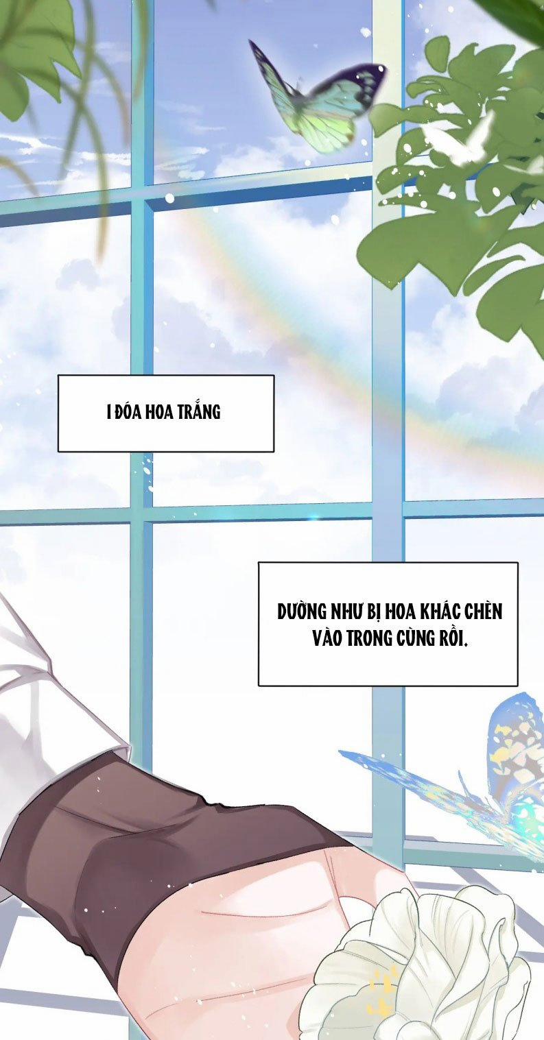 Nghịch Lý Câu Fan 37 trang 6