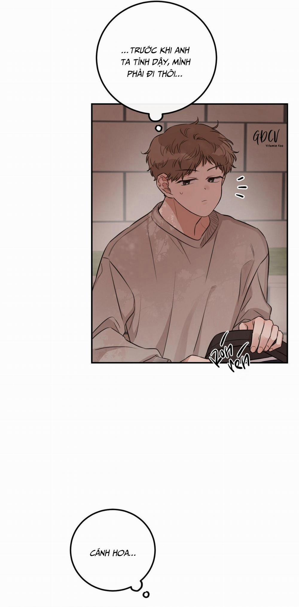 NGHỊCH LÝ SANDWICH 3 trang 31