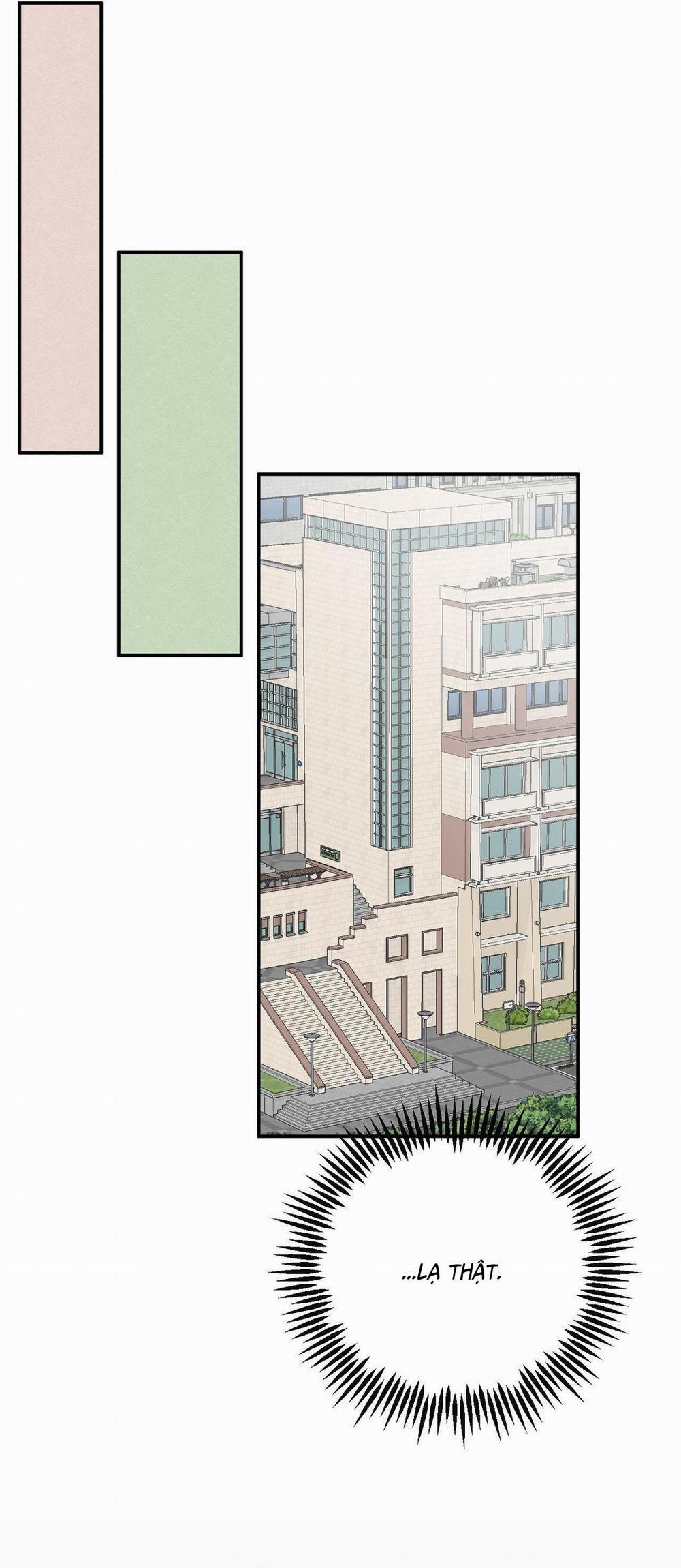 NGHỊCH LÝ SANDWICH 5 trang 13