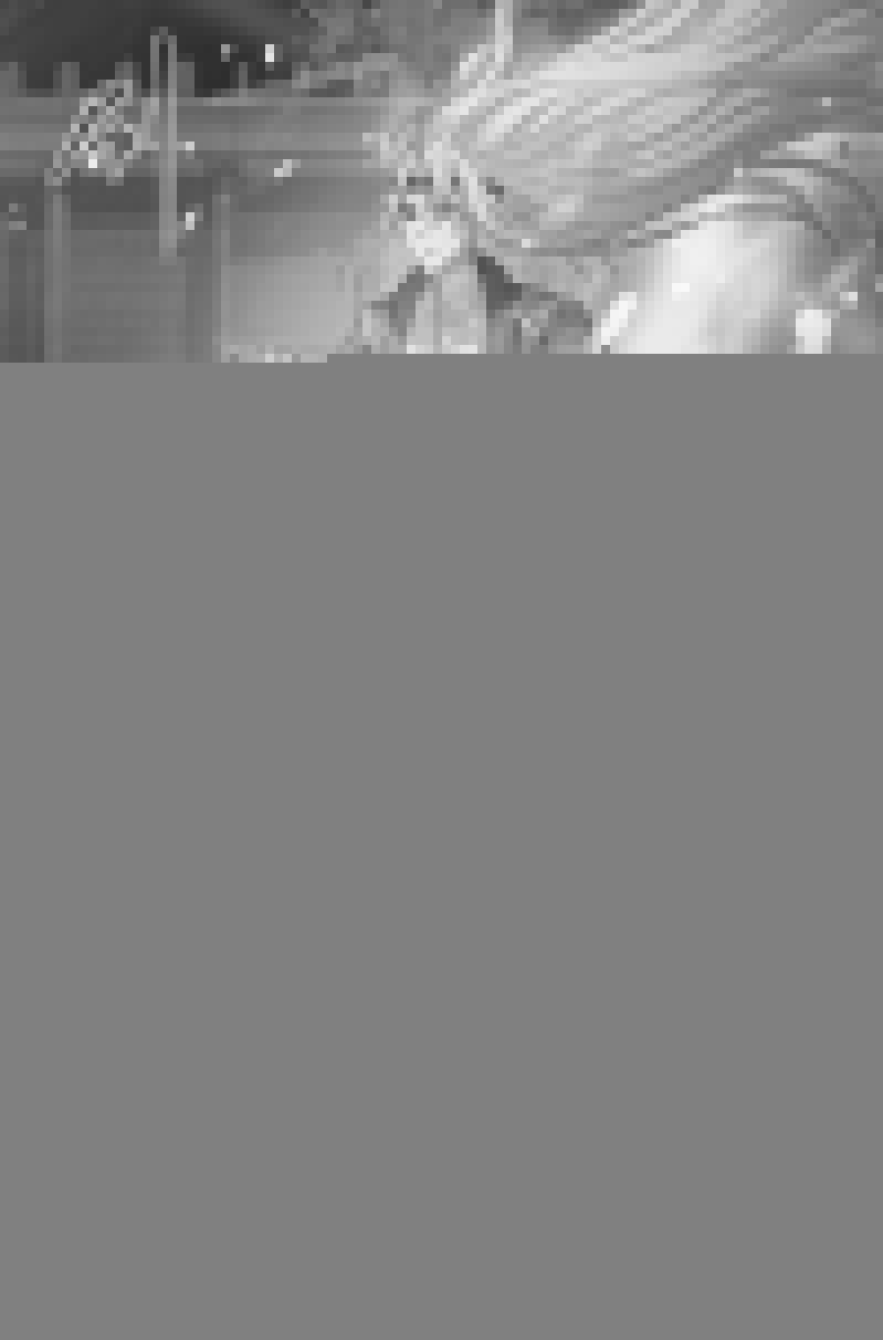 Nghịch Thiên Chí Tôn 15 trang 1