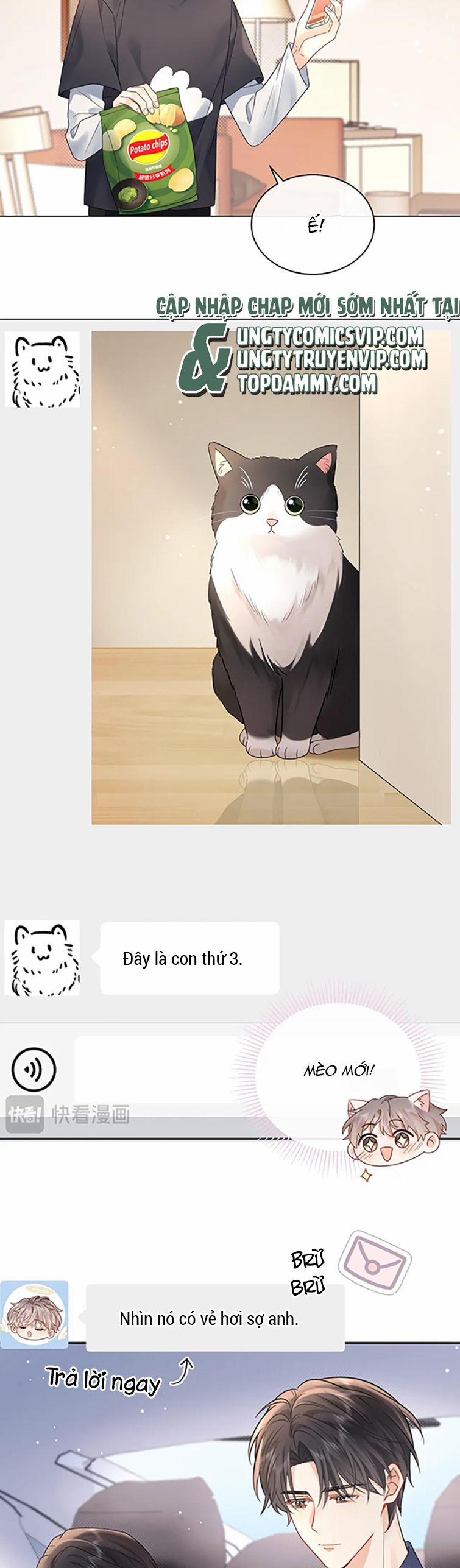 Nghiêm Cấm Bịa Đặt Tin Đồn 8 trang 15