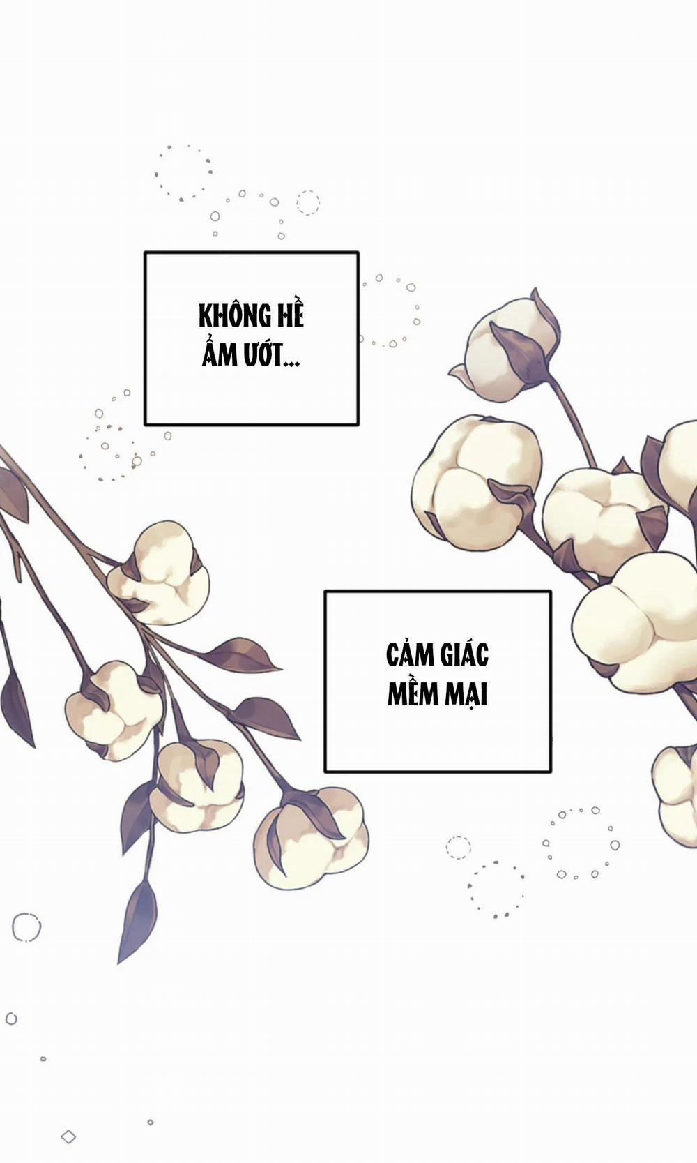 Nghiện Cuồng Công - BDSM Cùng Sẹc 3.01 thông đạo end trang 31