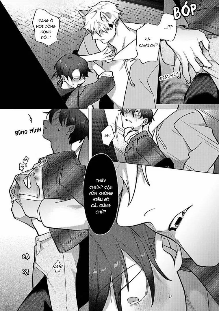 Nghiền Nát Tôi Và Dạy Tôi Về Tình Yêu 5 trang 23