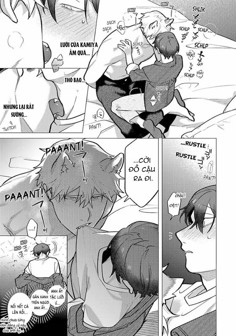 Nghiền Nát Tôi Và Dạy Tôi Về Tình Yêu 6 trang 12