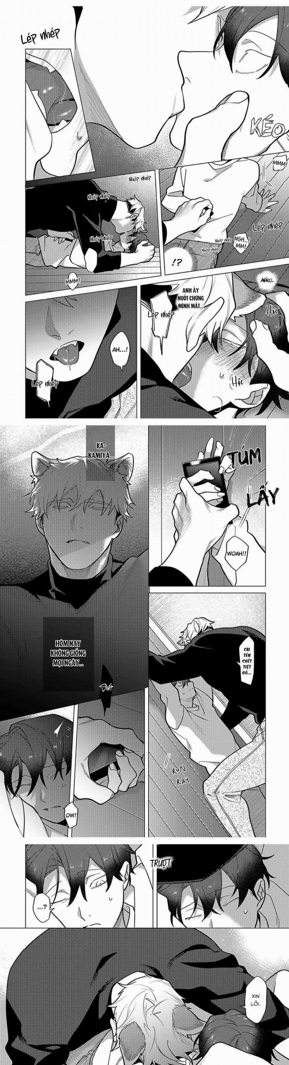 Nghiền Nát Tôi Và Dạy Tôi Về Tình Yêu 8 trang 11