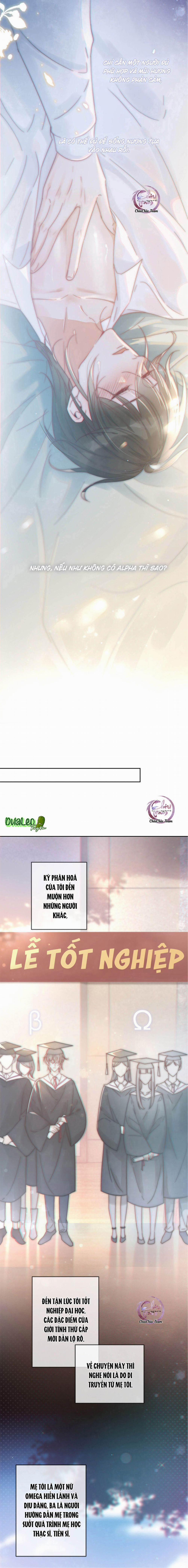 Nghiện Rượu 4 trang 2