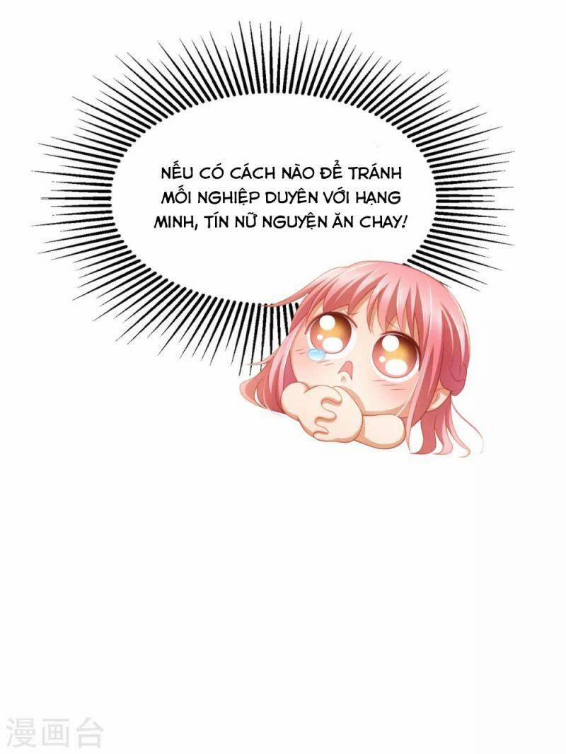 Nghìn Lẻ Một Đêm Với Tổng Tài 32 trang 5