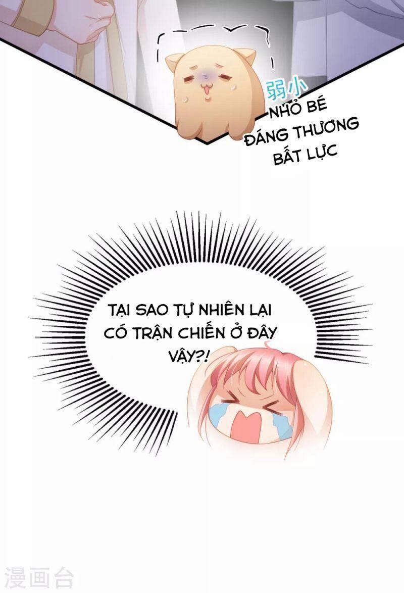 Nghìn Lẻ Một Đêm Với Tổng Tài 34 trang 15