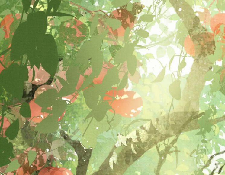 Ngộ Xà 66 trang 1