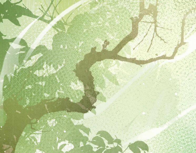 Ngộ Xà 66 trang 68