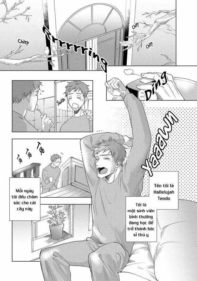 Ngợi Ca Ngài Succubus 6 trang 10