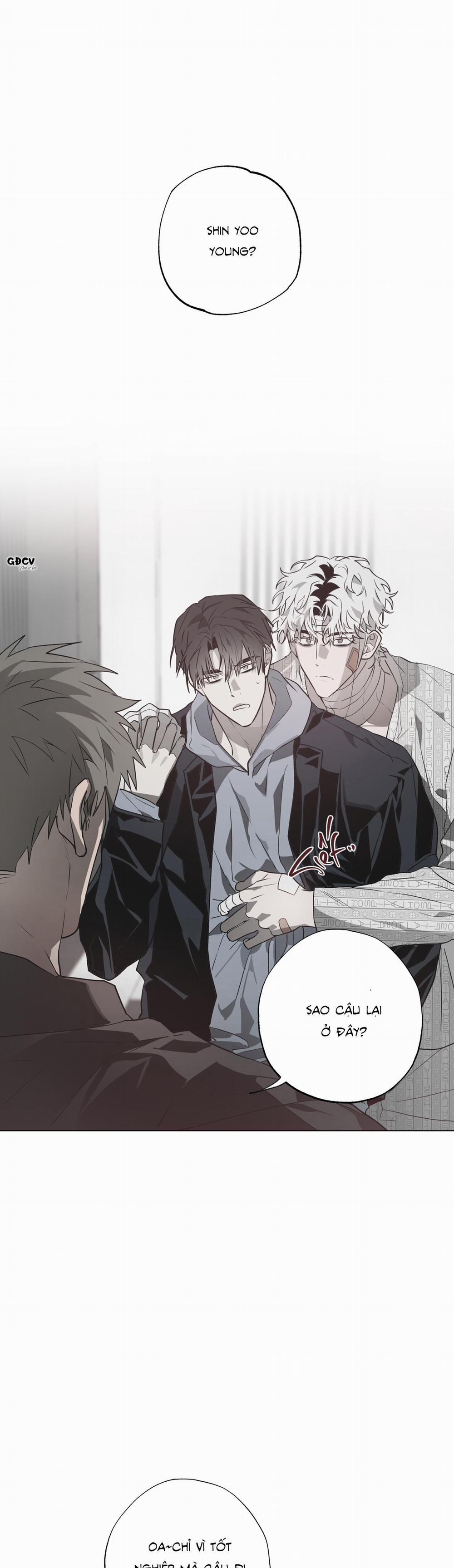 Ngôi Nhà Dị Thường 12 trang 0