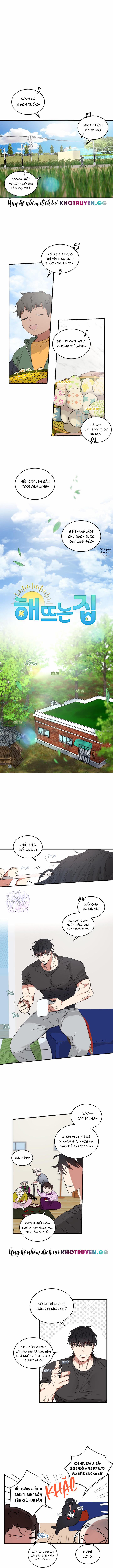 Ngôi Nhà Đón Nắng 15 trang 0