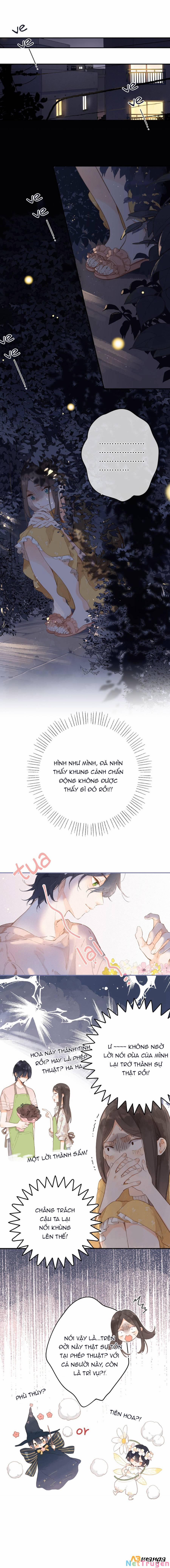 Ngôi Nhà Hướng Dương 10 trang 0