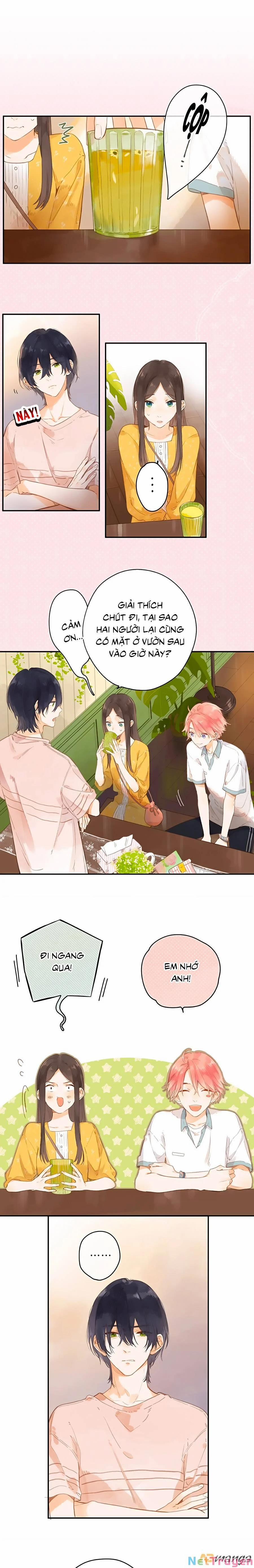 Ngôi Nhà Hướng Dương 11 trang 0