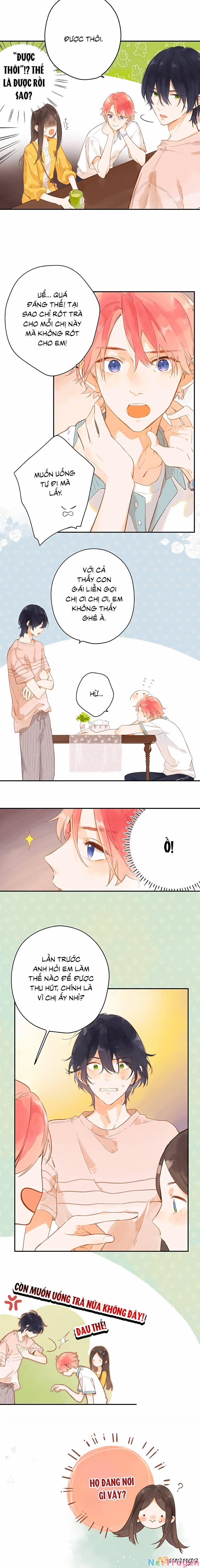 Ngôi Nhà Hướng Dương 11 trang 1