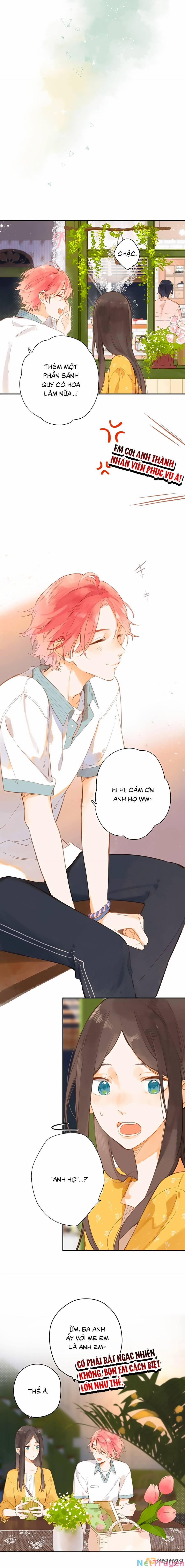 Ngôi Nhà Hướng Dương 11 trang 2