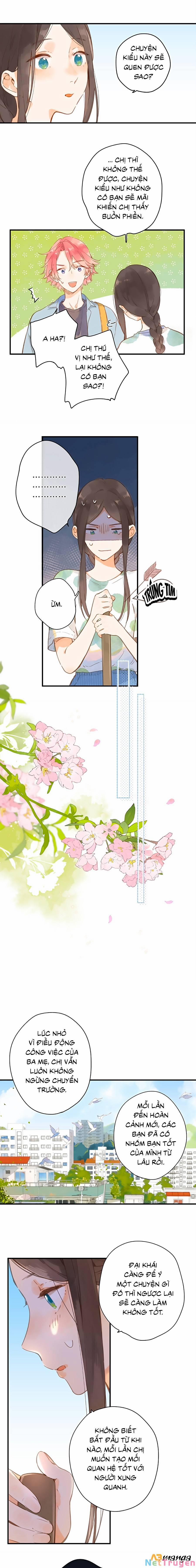 Ngôi Nhà Hướng Dương 13 trang 5