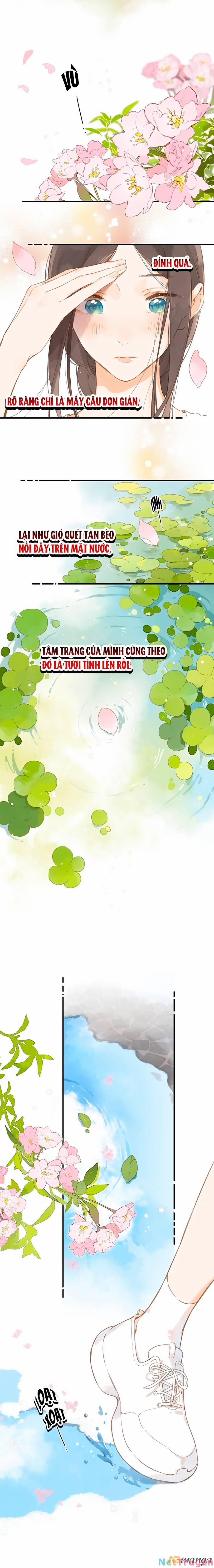 Ngôi Nhà Hướng Dương 14 trang 2