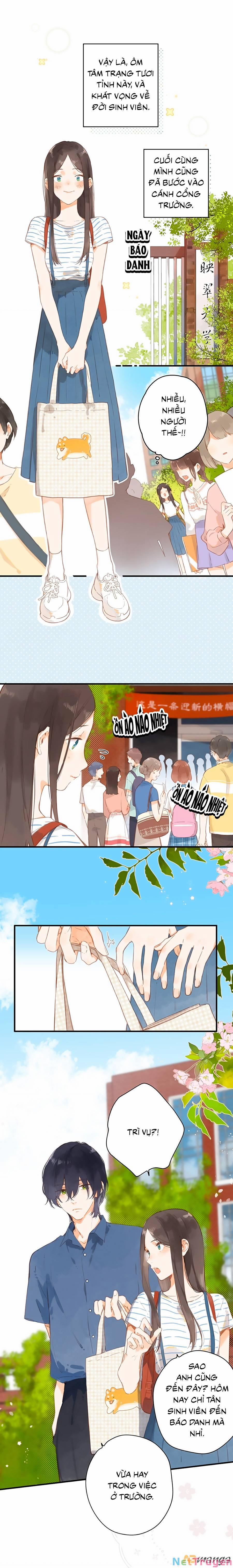 Ngôi Nhà Hướng Dương 14 trang 3