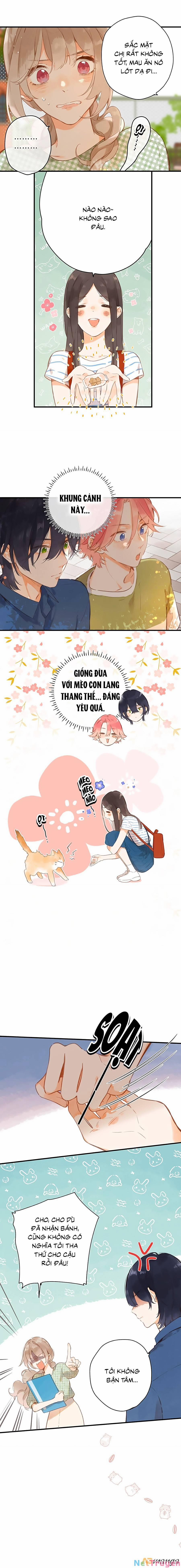 Ngôi Nhà Hướng Dương 15 trang 4