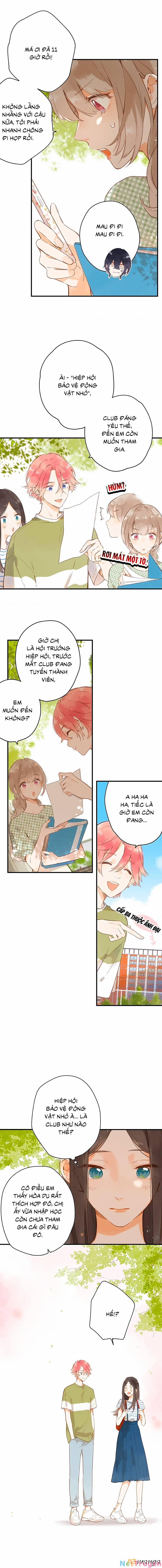 Ngôi Nhà Hướng Dương 15 trang 5