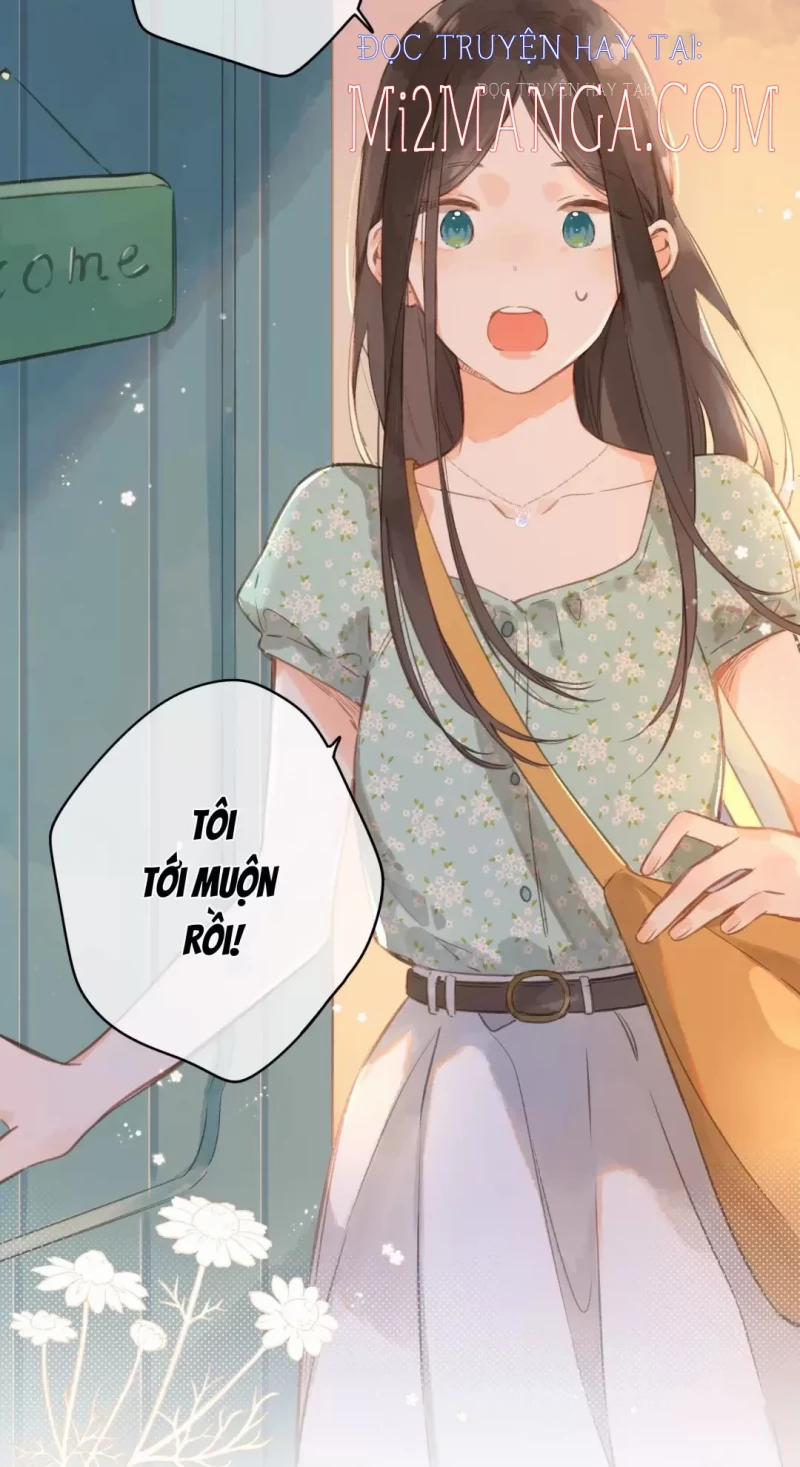 Ngôi Nhà Hướng Dương 16.5 trang 2