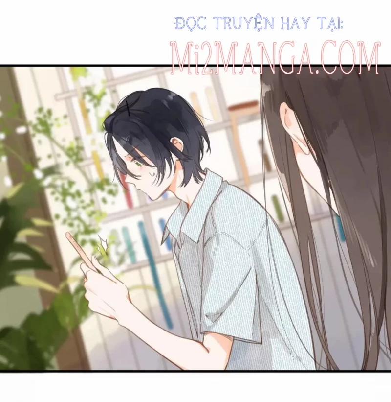 Ngôi Nhà Hướng Dương 16 trang 11