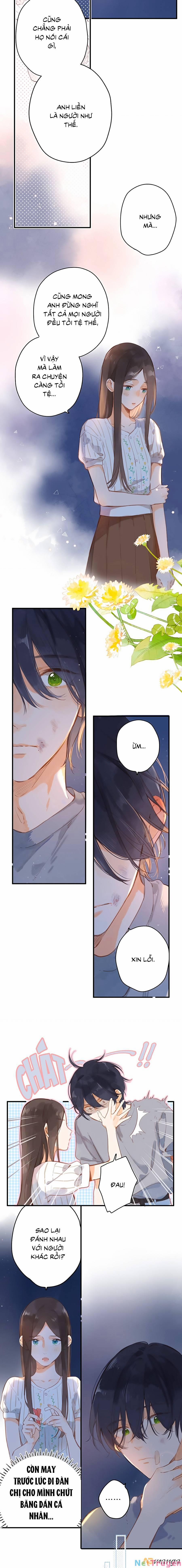 Ngôi Nhà Hướng Dương 19 trang 4