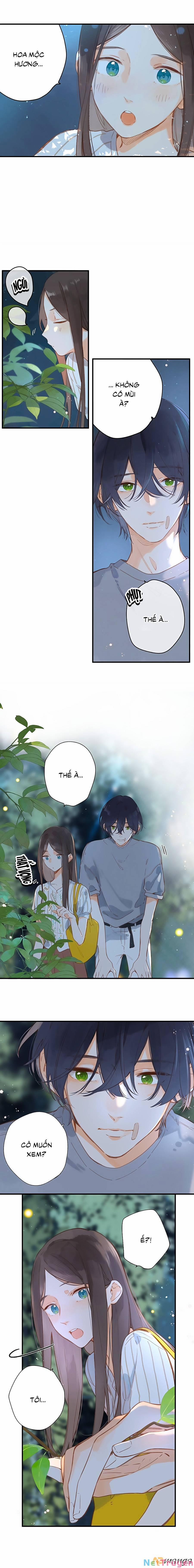 Ngôi Nhà Hướng Dương 20 trang 4