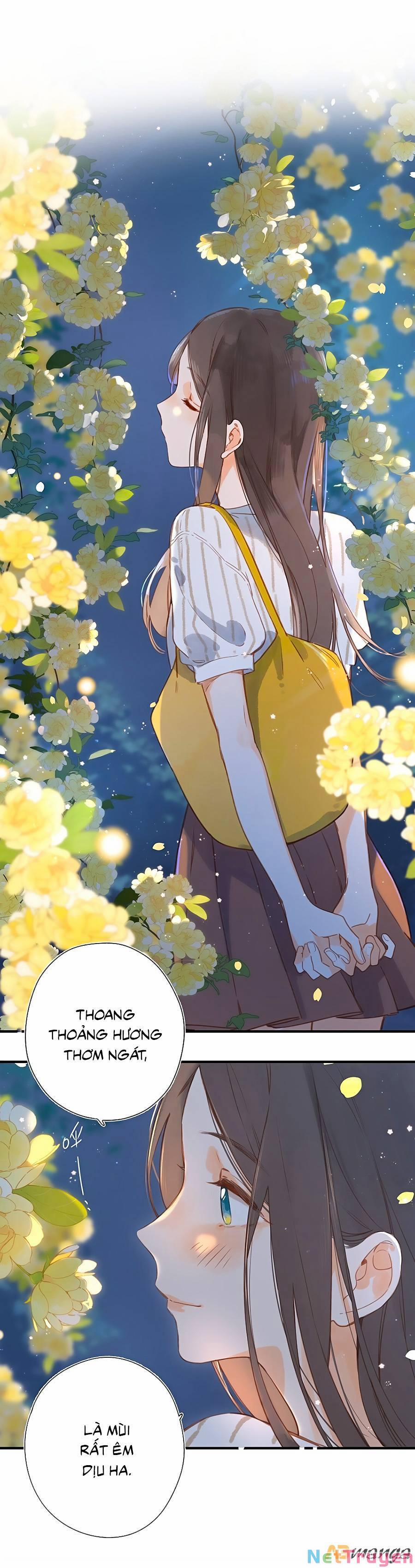 Ngôi Nhà Hướng Dương 20 trang 6