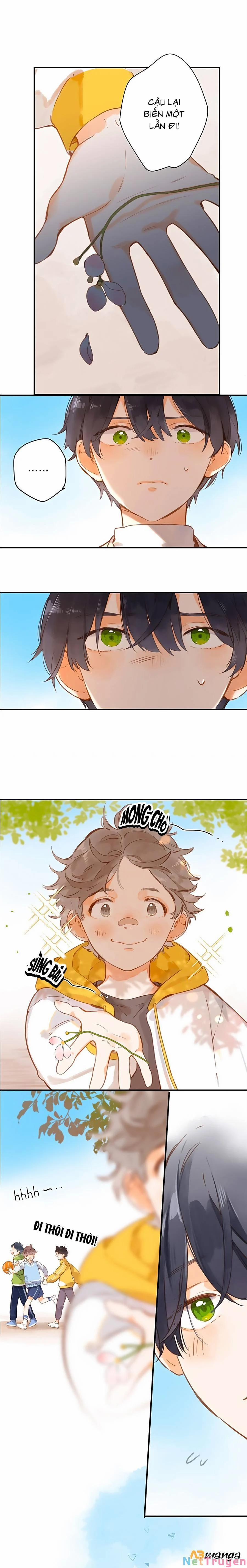 Ngôi Nhà Hướng Dương 22 trang 0