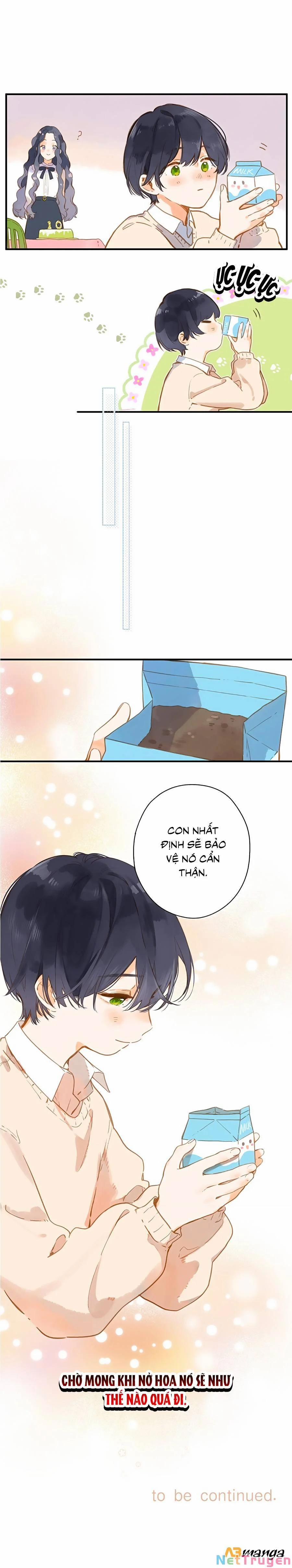 Ngôi Nhà Hướng Dương 22 trang 8