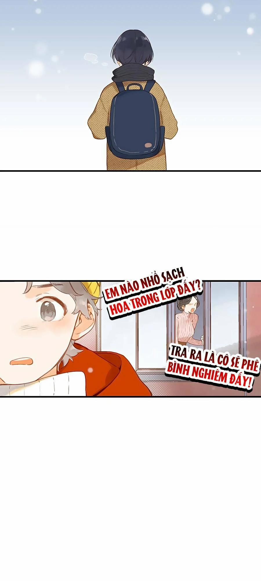 Ngôi Nhà Hướng Dương 23 trang 15