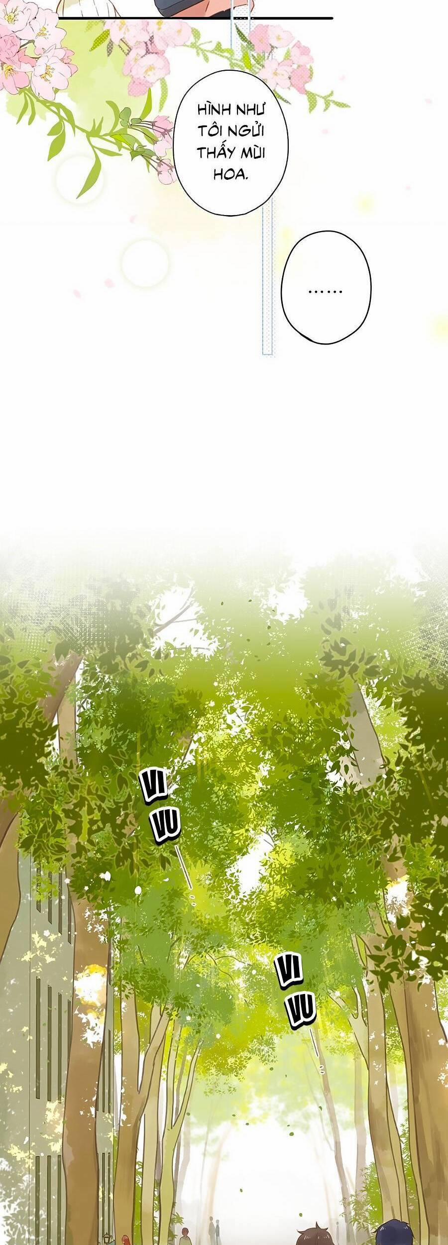 Ngôi Nhà Hướng Dương 25 trang 13