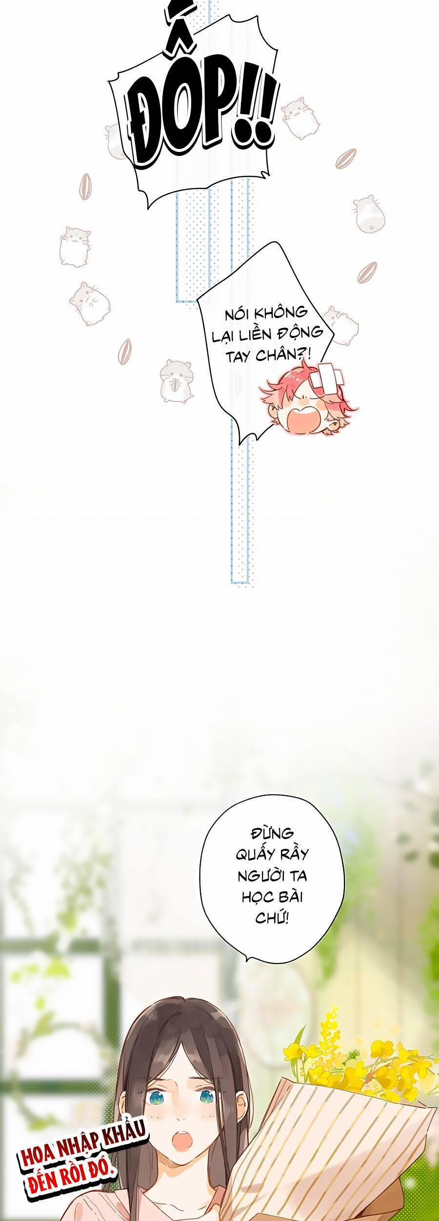 Ngôi Nhà Hướng Dương 27 trang 22