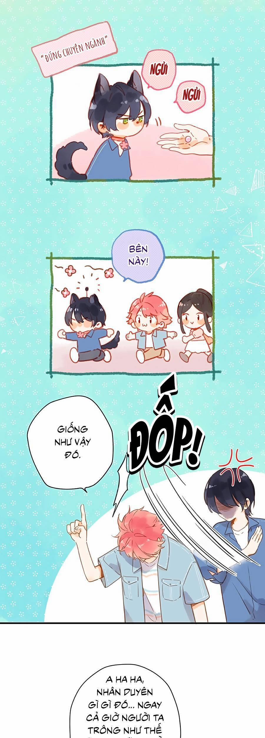 Ngôi Nhà Hướng Dương 28 trang 13