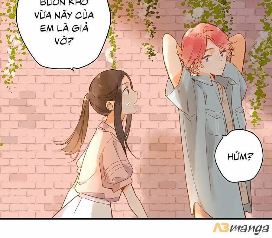 Ngôi Nhà Hướng Dương 30 trang 4