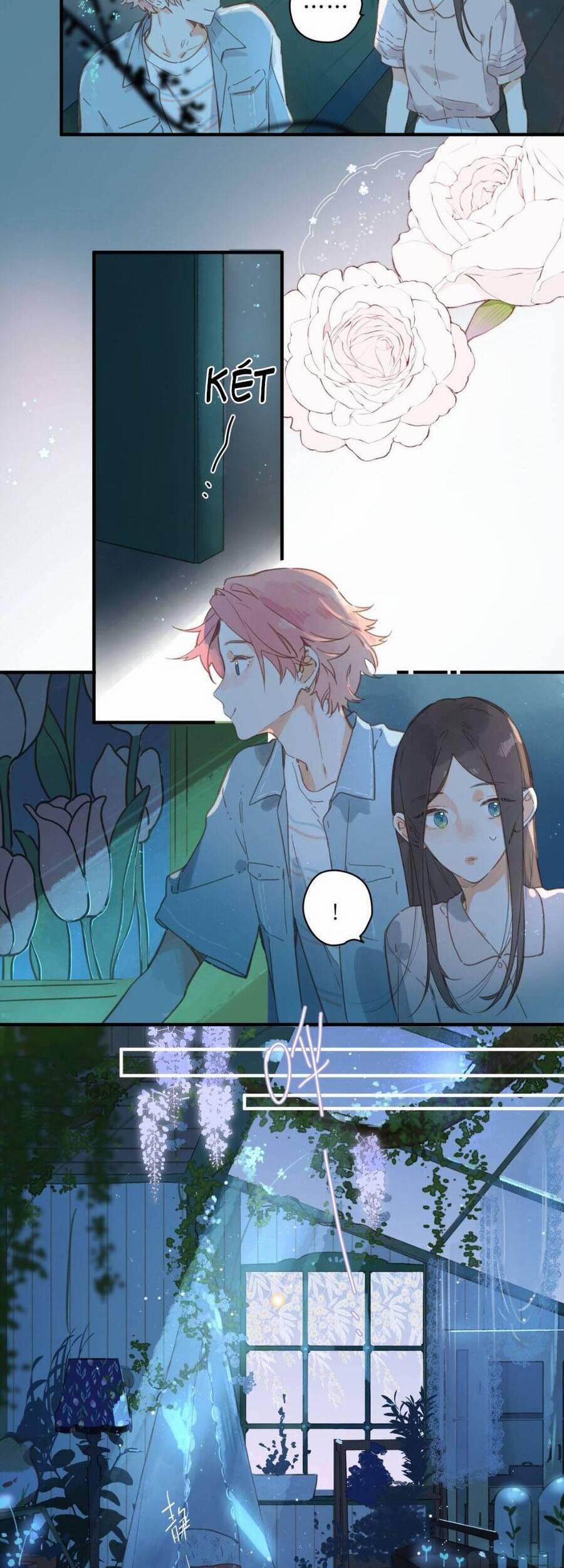 Ngôi Nhà Hướng Dương 31 trang 11