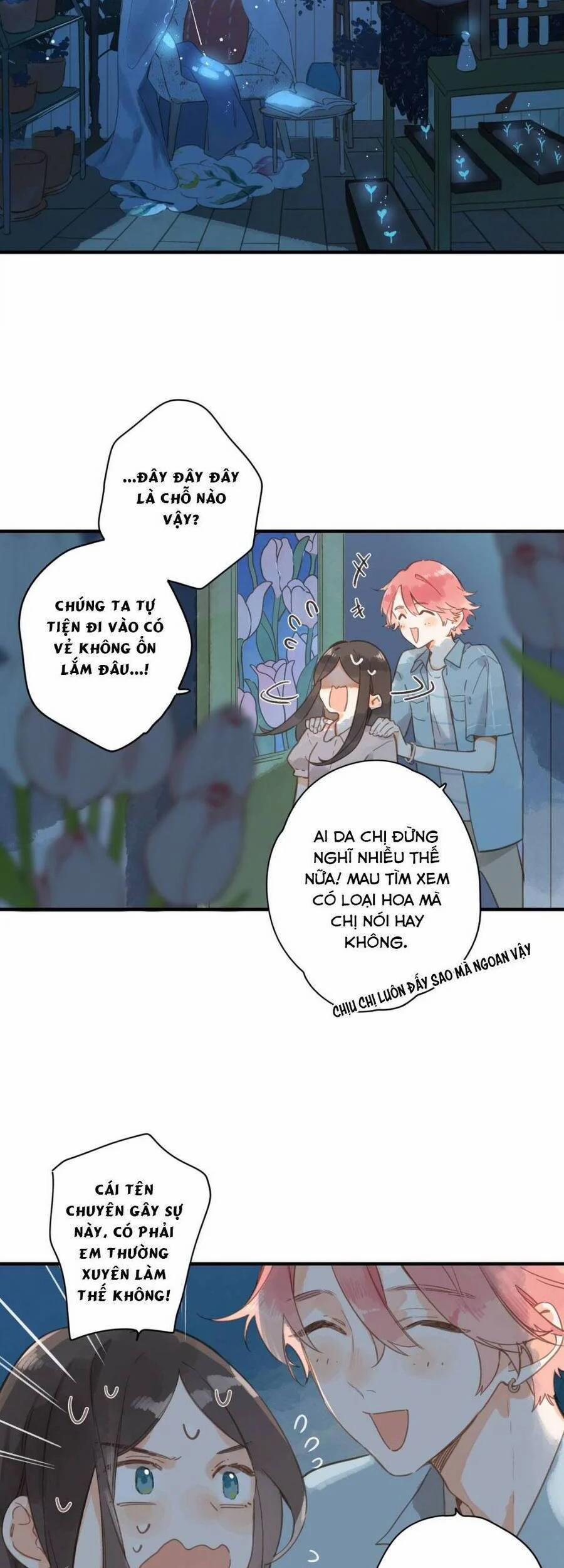 Ngôi Nhà Hướng Dương 31 trang 12