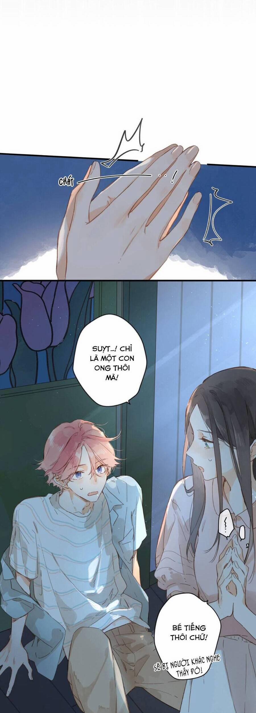 Ngôi Nhà Hướng Dương 31 trang 17