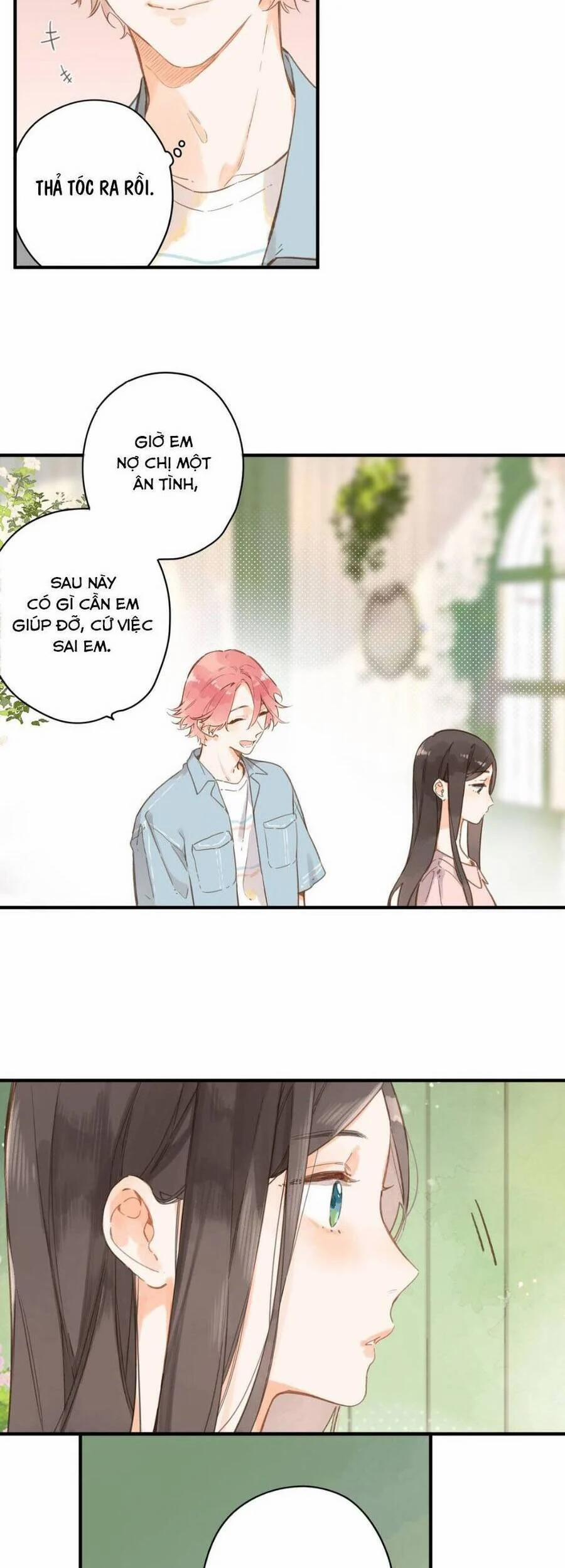 Ngôi Nhà Hướng Dương 31 trang 2