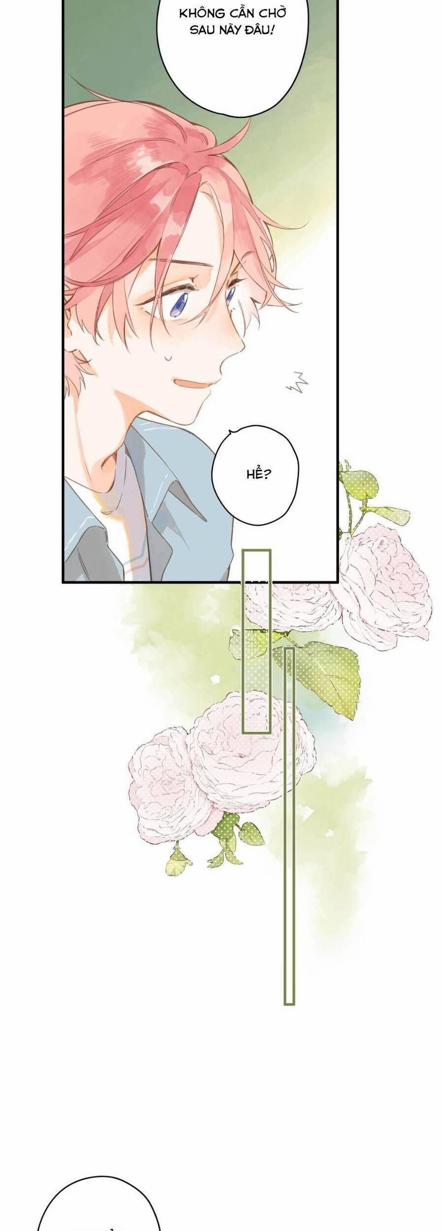 Ngôi Nhà Hướng Dương 31 trang 3