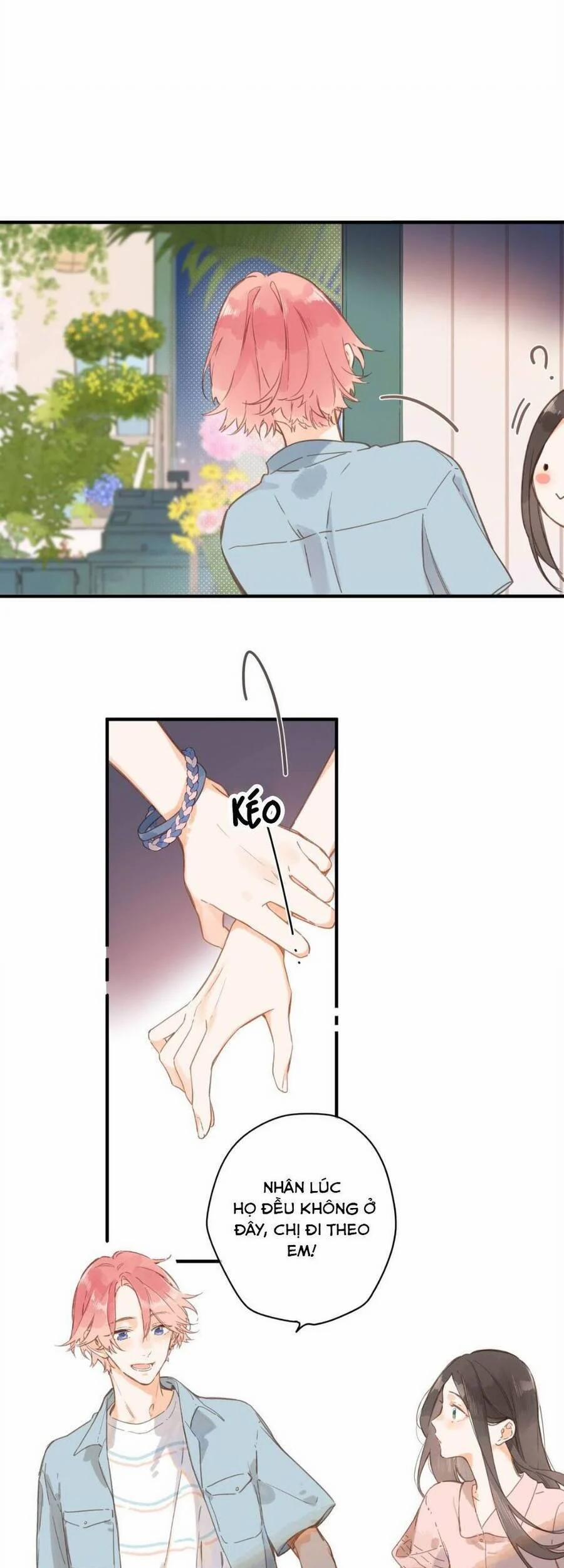 Ngôi Nhà Hướng Dương 31 trang 7