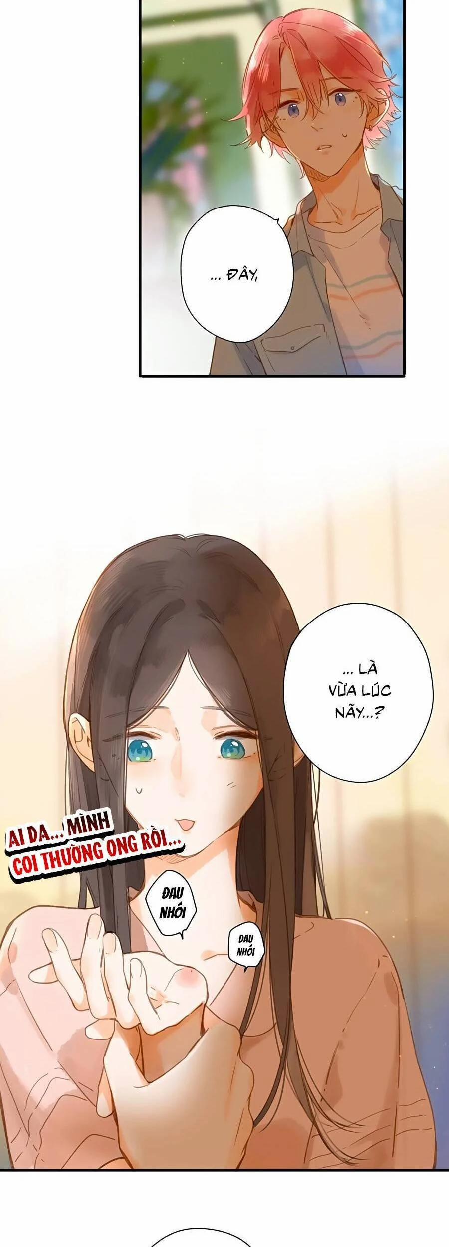 Ngôi Nhà Hướng Dương 32 trang 8