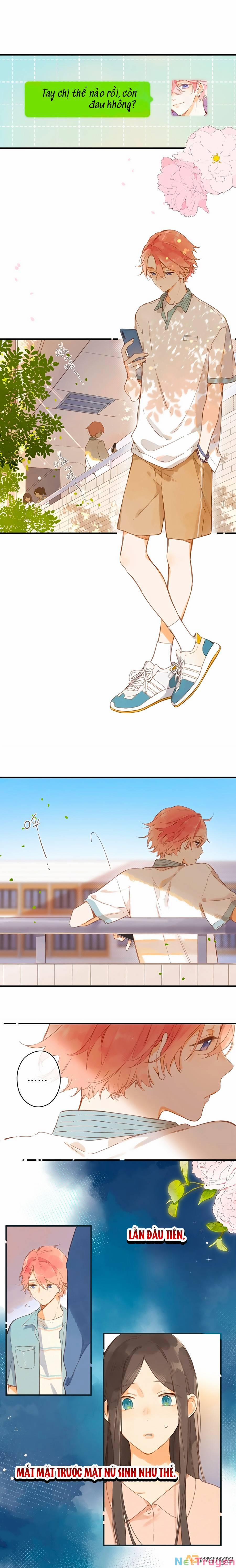 Ngôi Nhà Hướng Dương 33 trang 0